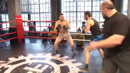 拳擊 紀(jì)律與激情之間，賽事組織如何防范比賽變斗毆