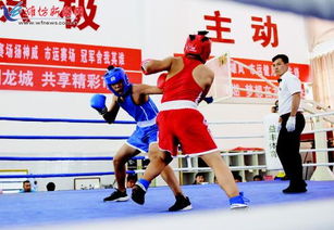 市運(yùn)會拳擊比賽圓滿落幕，拳擊運(yùn)動賽事組織與管理經(jīng)驗總結(jié)