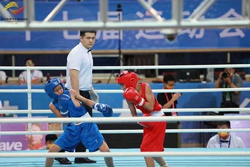 浙江省運(yùn)動會拳擊比賽圓滿落幕，拳擊運(yùn)動賽事組織再上新臺階