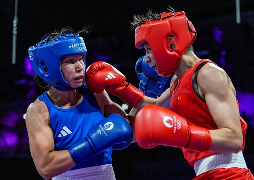 巴黎奧運會 楊文璐晉級拳擊女子60公斤級四分之一決賽，展現賽事組織與競技風采